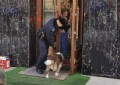 群众爱犬“离家出走” 民警暖心帮助寻回